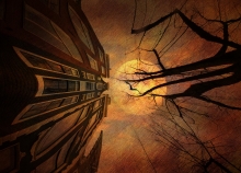 Into the Trees...