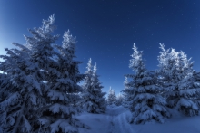 One Cold Winter's Night.