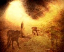 Legacy of the Beast