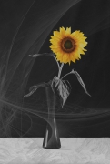 ain't no sunshine