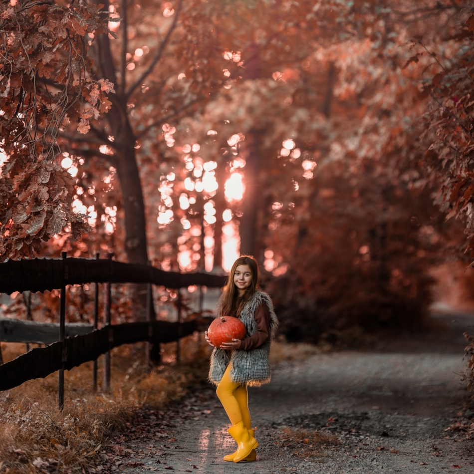 gaco - .... . Zdjęcie 319232