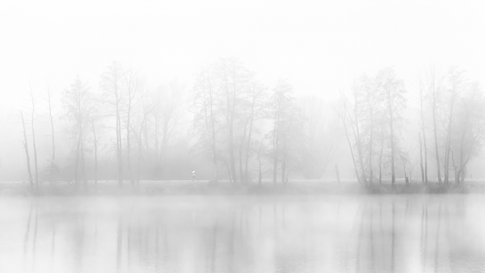 akrims - . . Zdjęcie 311883