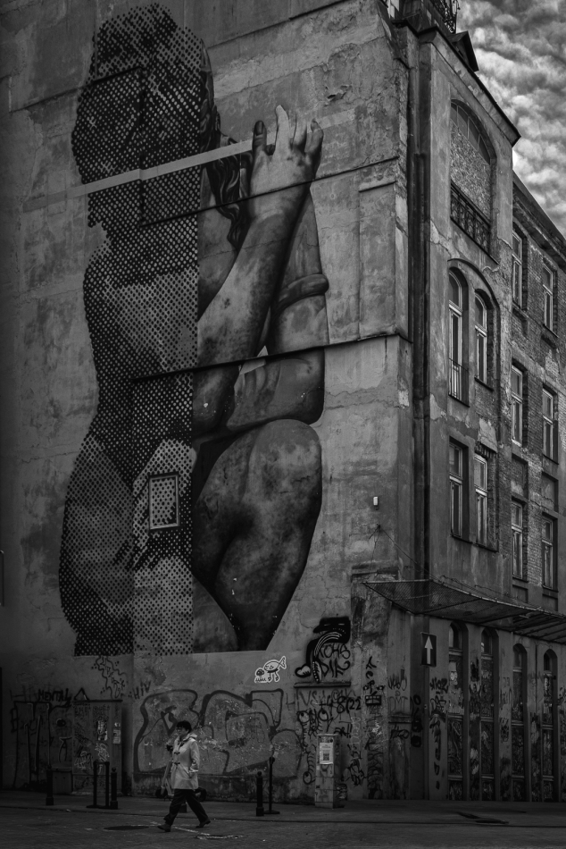 .. . Zdjęcie 336546