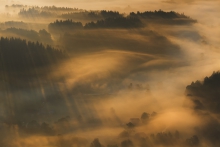 A Beautiful Misty Morning