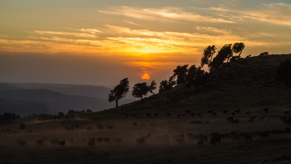 pak76 - . . Zdjęcie 316479