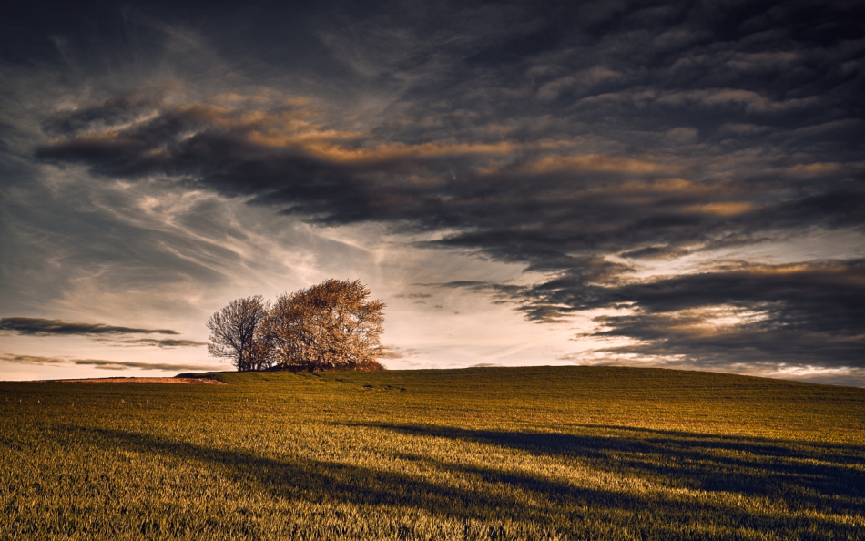 shooter76 - . . Zdjęcie 288025