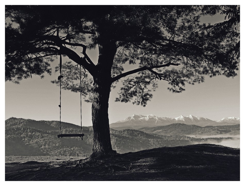 Timelessness. . Zdjęcie 338480