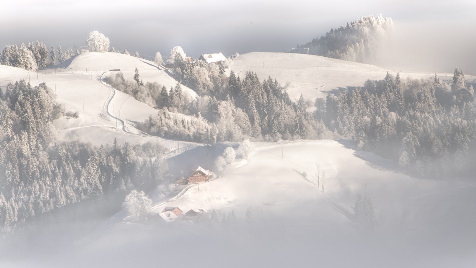 Napf. .. Zdjęcie 338394