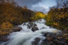 Waterfall in gold