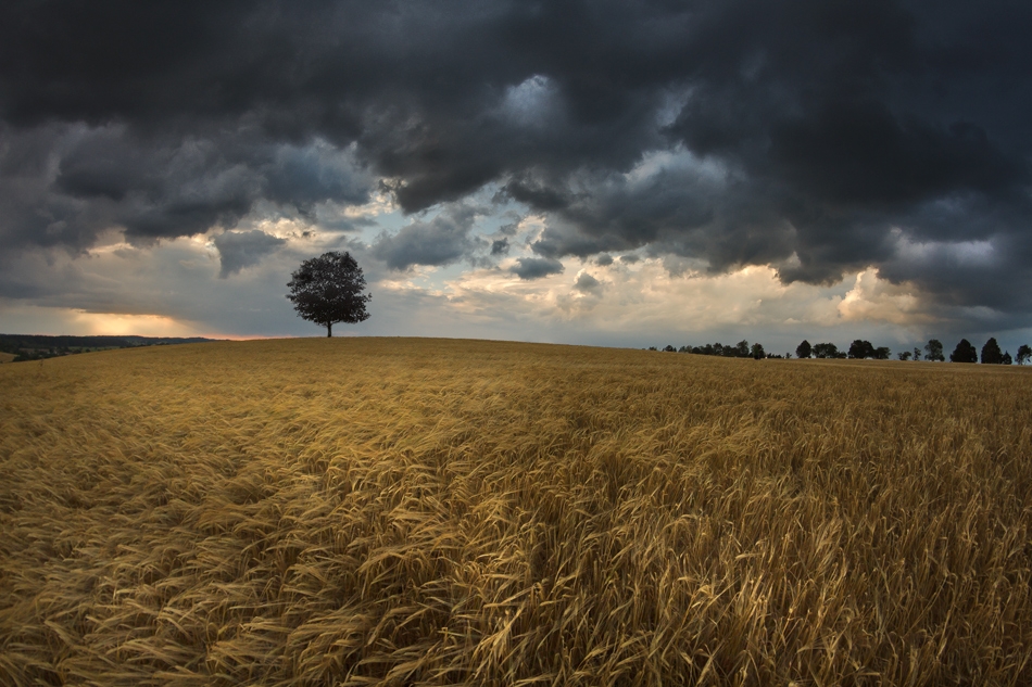 Last summer.... . Zdjęcie 74629