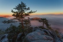 Cold Breath of Morning.
