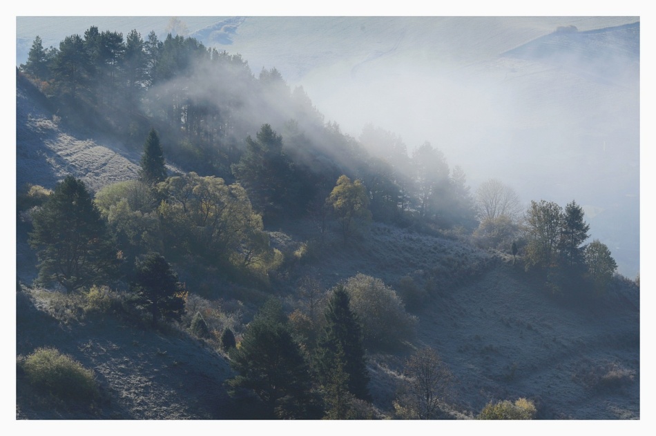 .. . Zdjęcie 337184