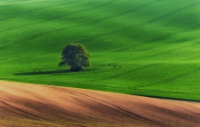 I
