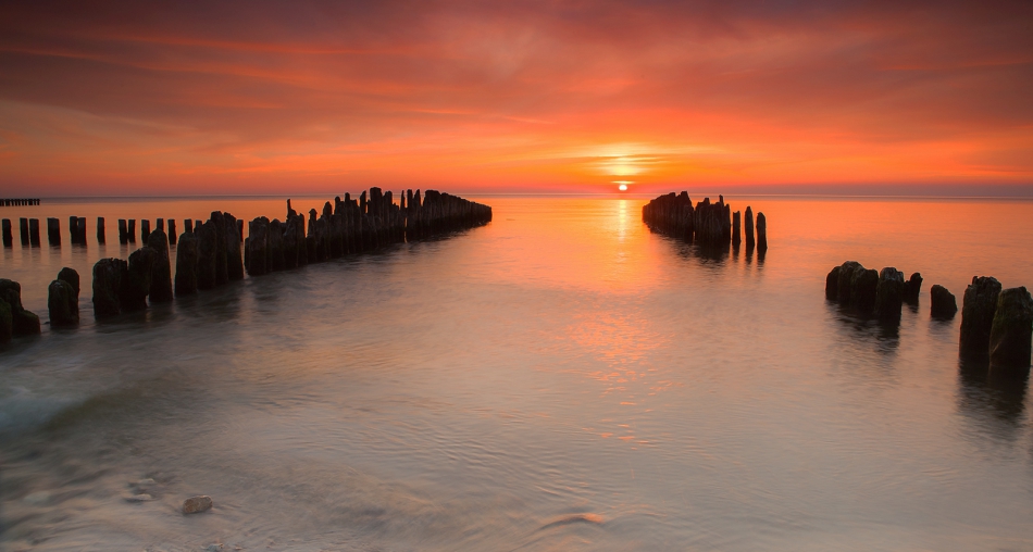 roman53 - . . Zdjęcie 302740