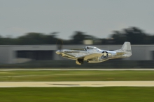 P-51D MUSTANG .