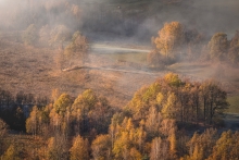 An Autumn's Tale...