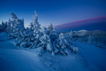 A Winter Awakening...