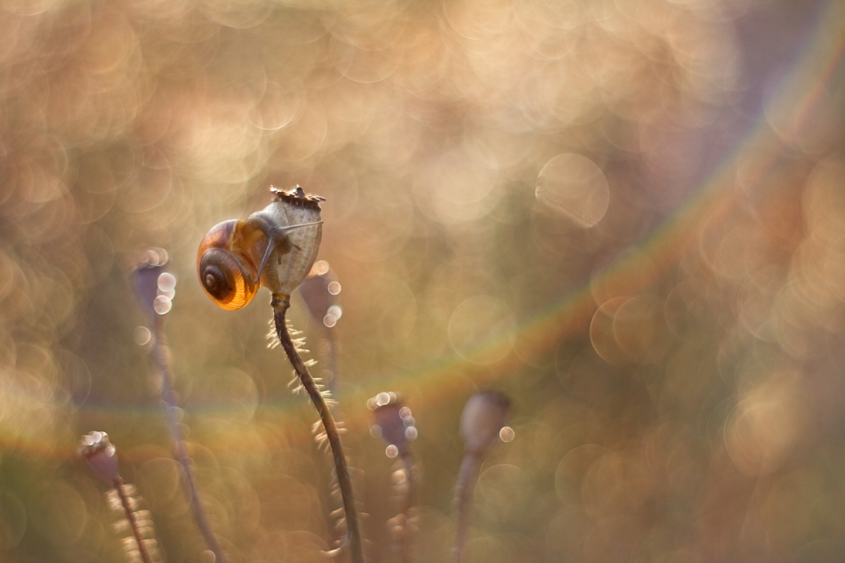 agnez - Po tej stronie. Jest PE. Zdjęcie 154629