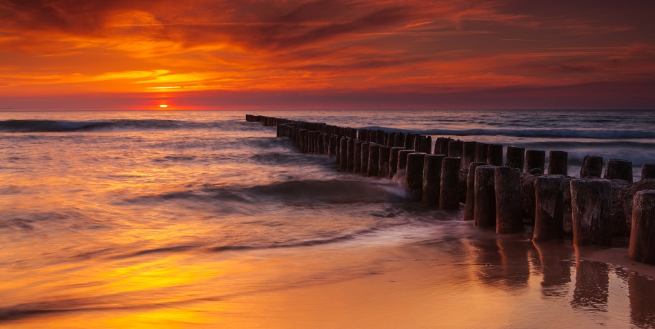 roman53 - . . Zdjęcie 282572