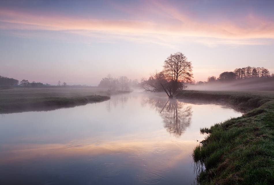 rysiek53 - . . Zdjęcie 214133