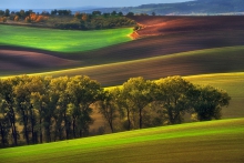 Morawy