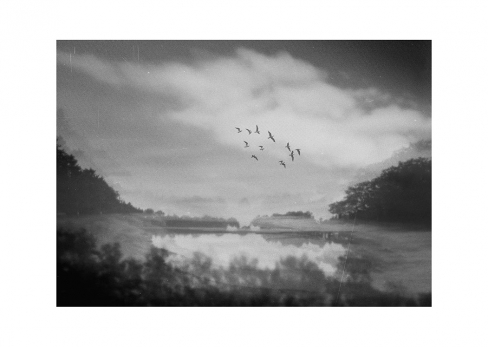 nowikowa - . . Zdjęcie 326663