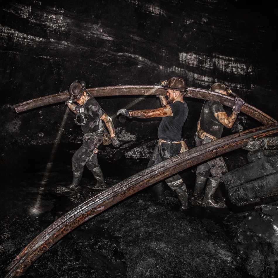 Zabudowa nogi w przodku .. Życie pod ziemią. Zdjęcie 338645