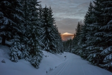 Śnieżka
