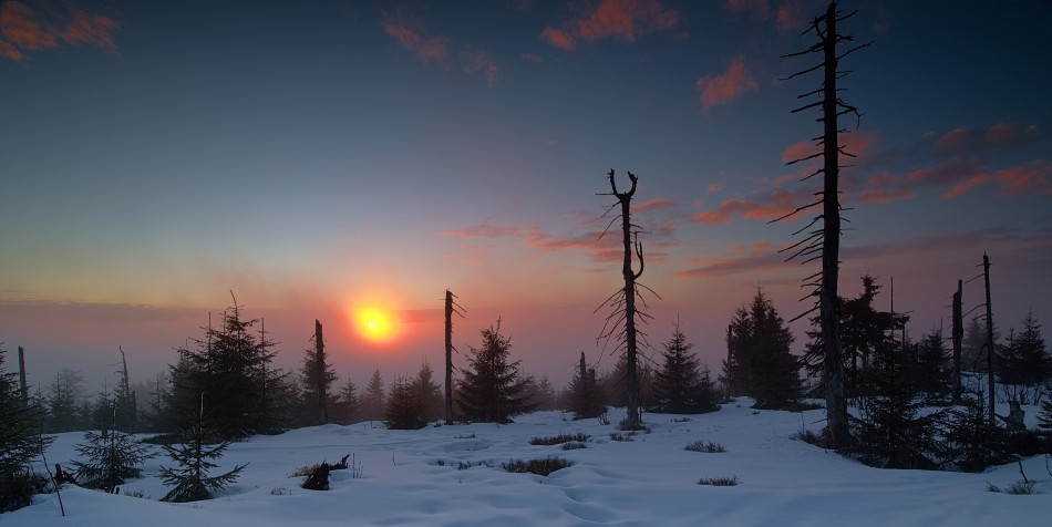 dilong - o zachodzie. . Zdjęcie 338102