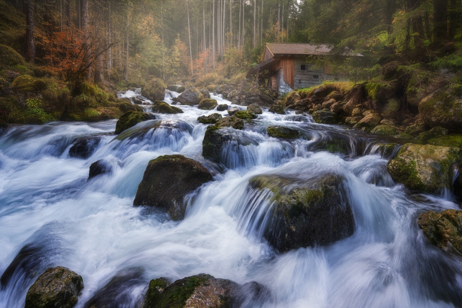 adampa - OLD MILL. . Zdjęcie 329159