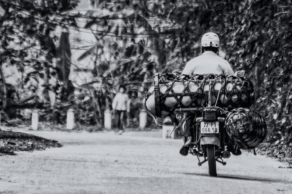 pak76 - Ryjki. Gdzie przepisy Unii Europejskiej nie siegaja.... Zdjęcie 96815