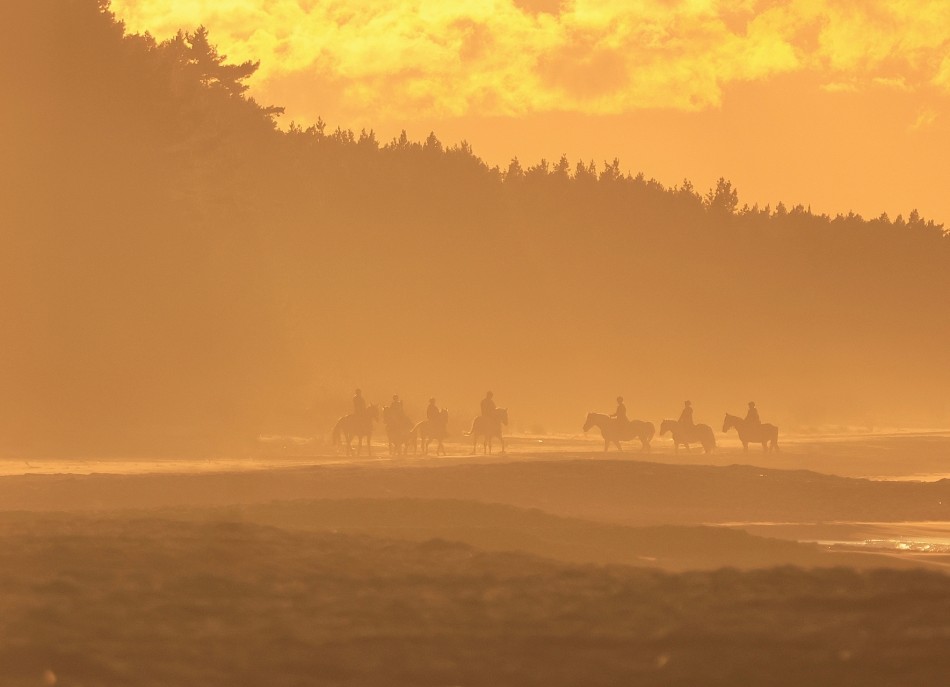 Popołudniowa przejażdżka. . Zdjęcie 338257