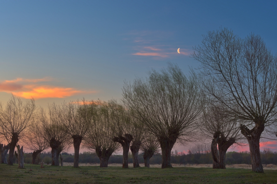 shooter76 - O czym szumią wierzby?. . Zdjęcie 264848