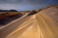Poranek na wydmach 
