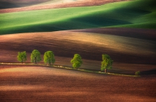 Springtime