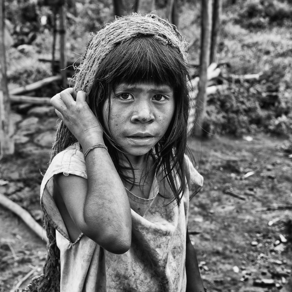 wlamparski - duchy dżungli. . Zdjęcie 181933