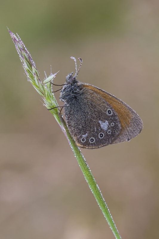 mariusz - . . Zdjęcie 145180