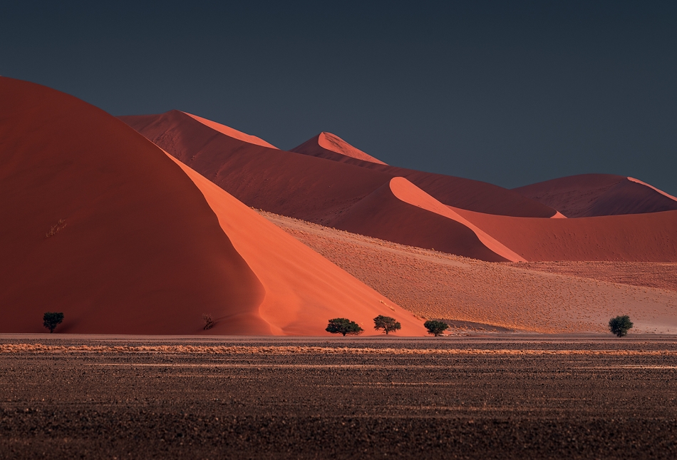 karol_nienartowicz - Red Dunes. Namibia, 2024. Zdjęcie 329014