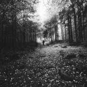 The Endless Path