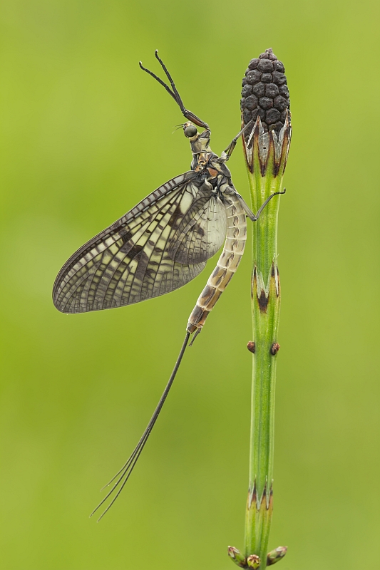 grzegorz - . . Zdjęcie 145587