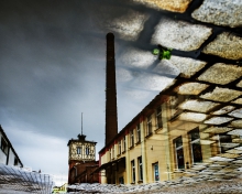 Grudziądz w lustrze