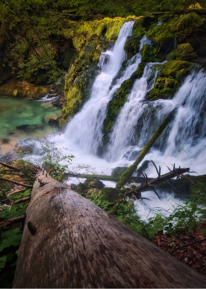 *. . Zdjęcie 337303