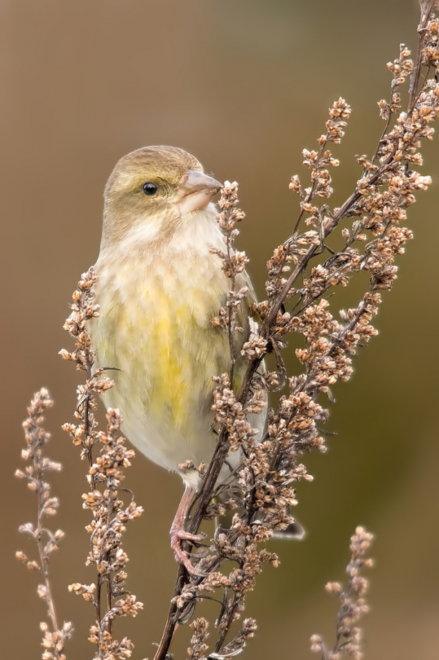 roman53 - . . Zdjęcie 288091