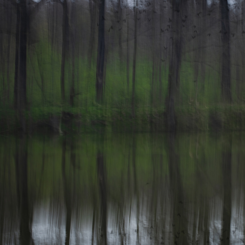 mon_ika - . . Zdjęcie 328692