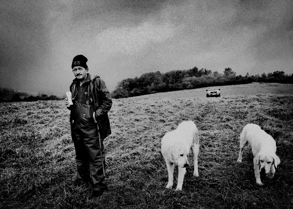 yamayka - Pasterz . Wypas owiec Karpaty . Zdjęcie 319260