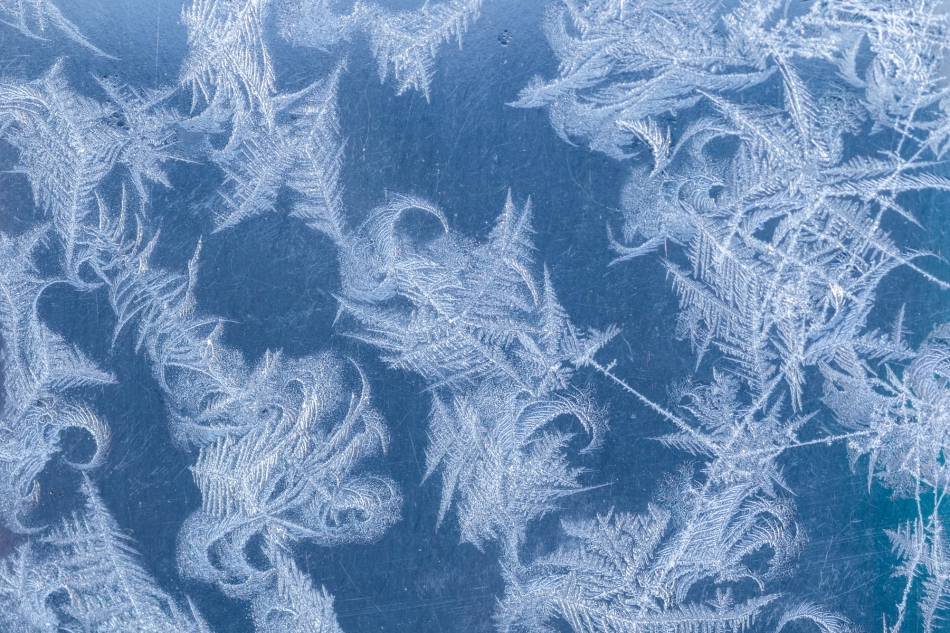 radson_foto - Mróz. . Zdjęcie 297649