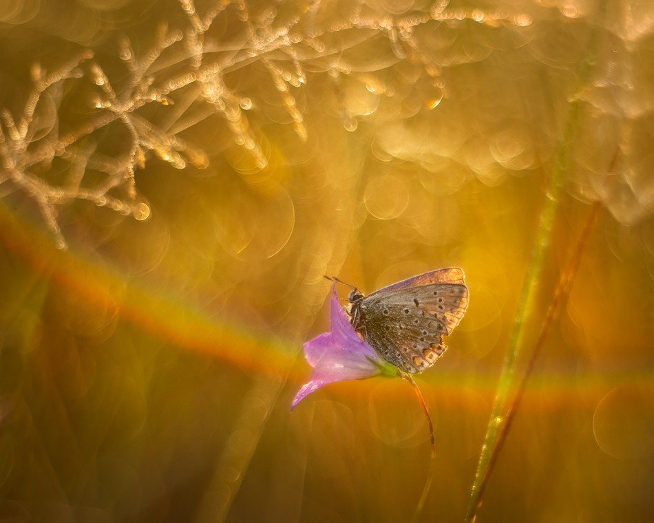 W oczekiwaniu na lato :). . Zdjęcie 339285