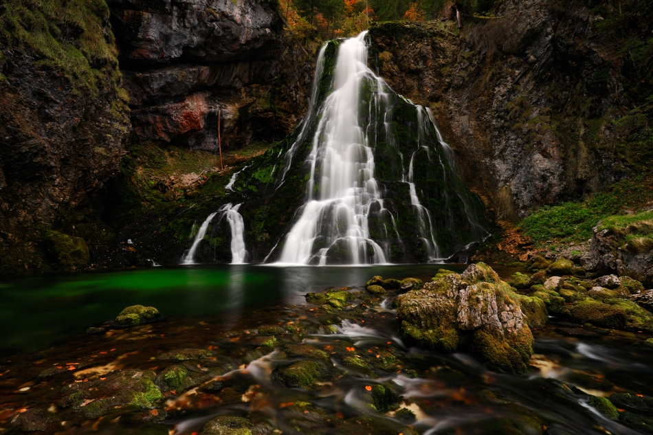 Gollinger. . Zdjęcie 336797