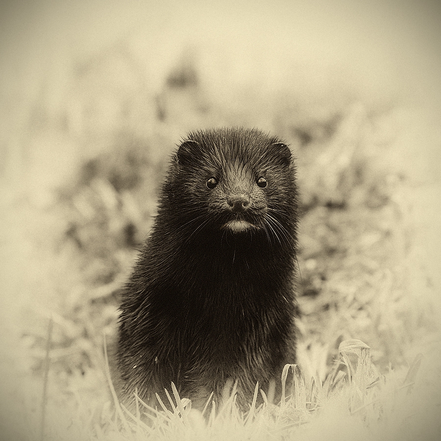 Dlaczego nikt mnie nie lubi :(. . Zdjęcie 191810