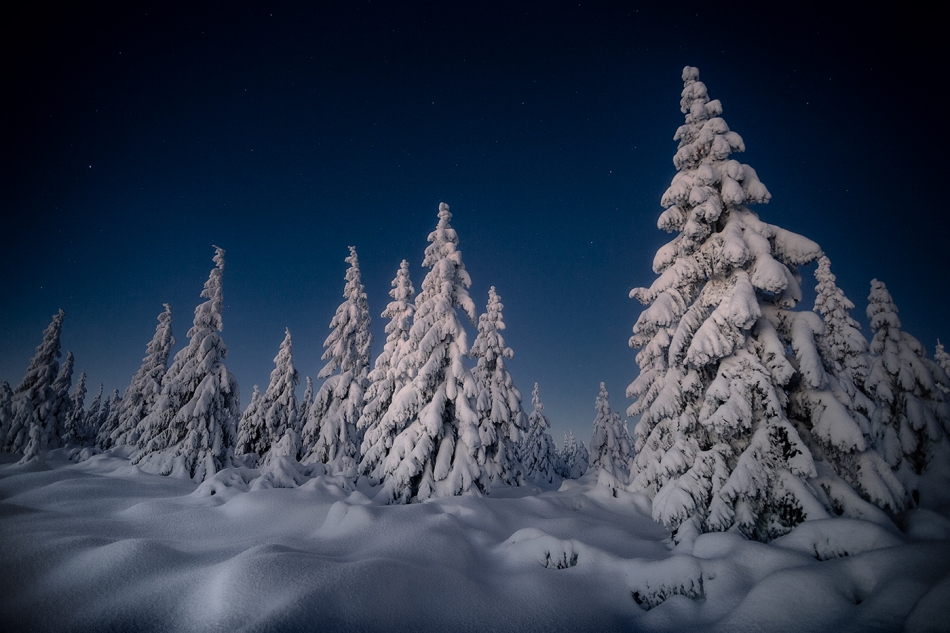 bonnieandclyde - Song For a Winters Night.... . Zdjęcie 310144